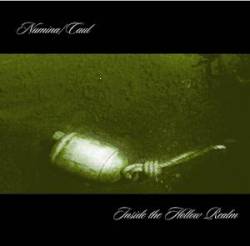 Caul : Inside the Hollow Realm